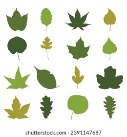 Vector set of leaves from different trees, including oak, maples, herbs, and bushes. 