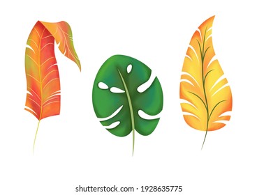 Vector set of leaves. Digital illustration.