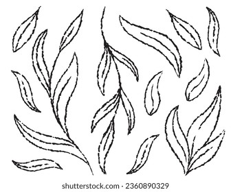 vector set of leaves drawn with a brush simple graphic design. Line leaves pattern drawn with a brush, elements for packaging and textile design. Leaf pattern design.