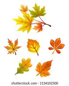 vector set of leaves. falling leaves. autumn, herbarium, yellow, maple leaf, oak leaf, branch.