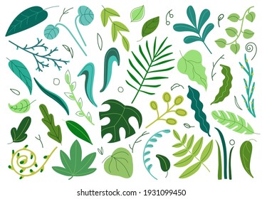 Vector set of leaves in a flat cartoon style. Bright and fantasy summer and spring leaves.Plant elements for the design of posters, postcards, banners, textiles.