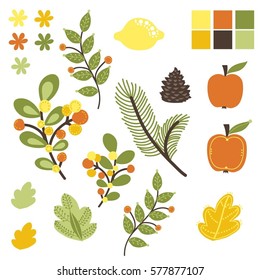 Vector set with leaves, flowers, apples and pinecones