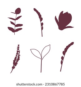 Vector set of leaves and flowers in purple on a white background. Magnolia, lavender, zamiokulkas, tea tree, eucalyptus