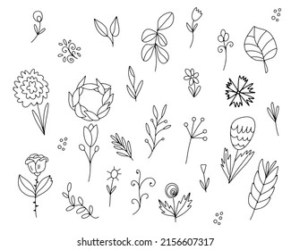 Vector Set of leaves, flowers, twigs. Hand-drawn elements, flowers