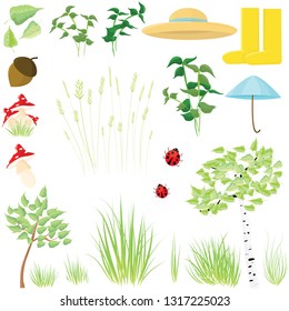 vector set with leaves, forest trees, insects, grass, other