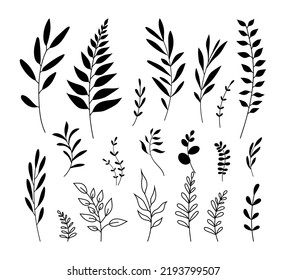 Vector con hojas. Ilustración dibujada a mano. Objetos negros aislados sobre fondo blanco. Concepto de verano