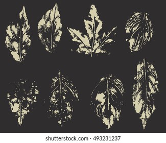 Vector set of leaves imprint. Clip art for design.