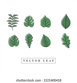 vector set of leaves with a line and flat style. modern and beautiful style