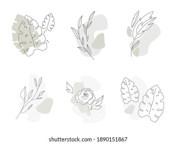Vector set leaves linear style