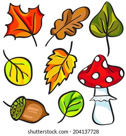 Vector set of leaves, oaks, mushrooms