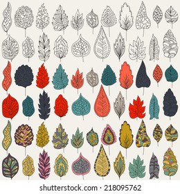 Vector set of leaves, outline, colors. Isolated on white background for seasonal design Collection of hand-drawn leaves on a white backdrop.
