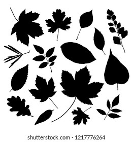 193,560 Fall leaf silhouette Images, Stock Photos & Vectors | Shutterstock