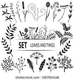 Vektorillustration mit Blättern, Zweigen, Gartengras.