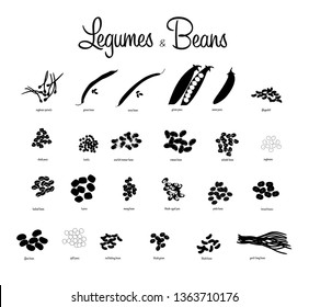 Vector set of Legumes and beans black and white silhouette. Collection of Soybean sprouts, green bean, mung bean, scarlet runner bean, pinto bean, split peas in flat style. Vector illustration