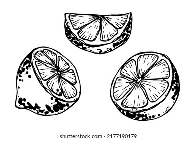 Conjunto vectorial de clipart limonero. Icono de cítricos dibujado a mano. Ilustración de fruta. Para imprimir, web, diseño, decoración, logotipo.