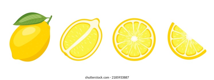 vector set of lemon, vector illustration on white horizontal background