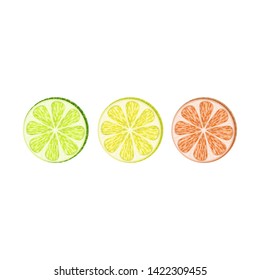 Vector set of lemon, lime, grapefruit slices on white background.