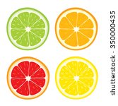 Vector set of lemon, orange, lime, grapefruit slices on white background.