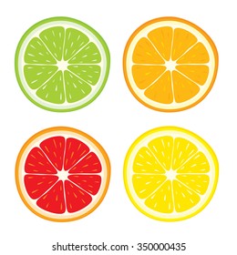 Vector set of lemon, orange, lime, grapefruit slices on white background.