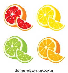 Vector set of lemon, orange, lime, grapefruit slices on white background.