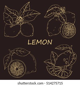Vector set of lemons. Sketch made by hand. Isolated on a dark background. Fruit drawn in Doodle style. Whole lemon and slices. Great for water, beverages, natural cosmetics.