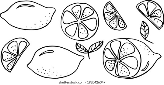 vector set lemons whole and sliced fruits isolated