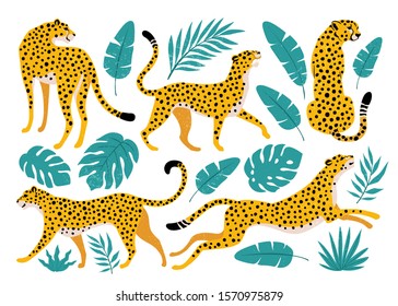 Vector set of leopards and tropical leaves. Trendy illustration.