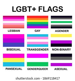 Conjunto de vectores de la comunidad LGBTQ diferentes banderas del orgullo: lesbiana, gay, transgénero, bisexual, pansexual, género. Identidad sexual, derechos lgbt y concepto familiar. Ilustración de stock aislado plano.