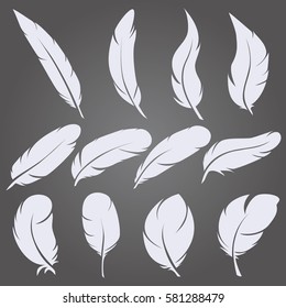 Vector set of light feather on black background. Icons feathers isolated