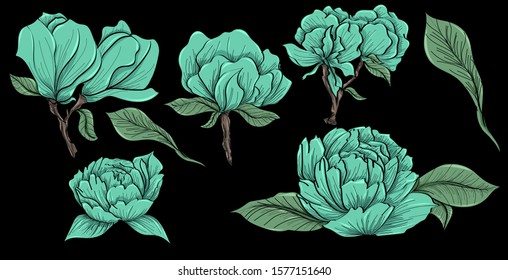 Vector set of light green flowers with leaves. Floral isolated elements for wedding, invitation, greeting cards. Flat design