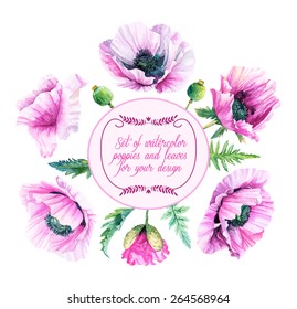 Vector set of lilac, violet,  poppies, buds, leaves for design. Watercolor flowers. Set of floral elements to create compositions. 