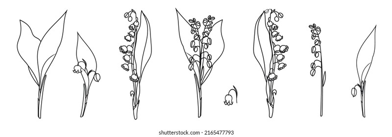 vector set of lily of the valley inflorescences and leaves on a white background, doodles