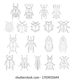 Grupo vectorial de insectos de arte lineal. Colección de errores aislados 
 sobre fondo blanco. Ilustración de escarabajos dibujados a mano, perfecta para
colorante.