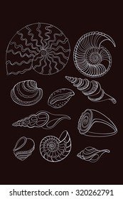 Vector set of line art shells. 