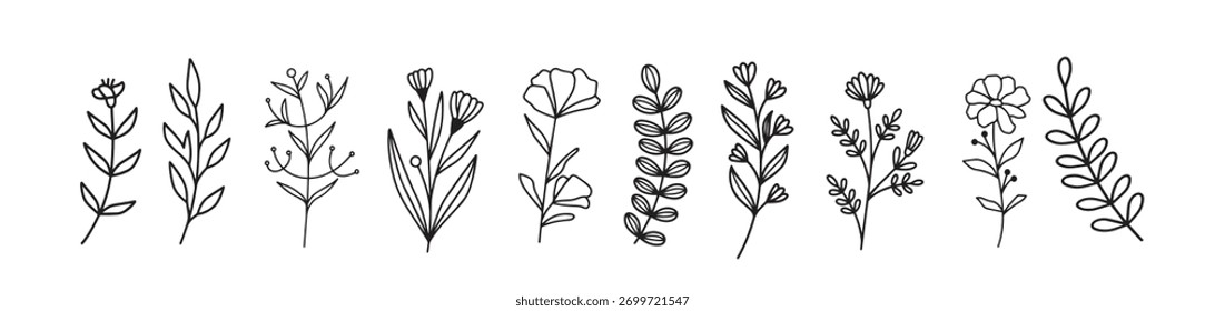 vetor conjunto de linha arte esboço esboço linha ervas flores