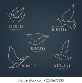 Vector set of line bird logos, pigeon silhouettes, flying abstract logos, icons isolated. Monoline minimalist style, luxury signs