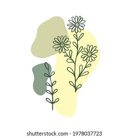 Vector set of line drawing abstract flowers. Hand drawn modern minimalistic design for creative logo, icon or emblem