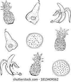 vector set line drawing tropical fruits. cartoon icons  pineapple, avocado, banana for vegan food, snacks, healthy breakfast,  baked goods,decor menu. minimalistic simple drawing for print, pattern