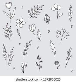 Vector set of line hand-drawn illustrations of flowers and branches. Cute modern monochrome drawings.