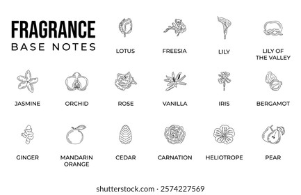 Vector set line icon aromatic notes perfume