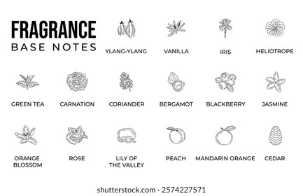 Vector set line icon aromatic notes perfume