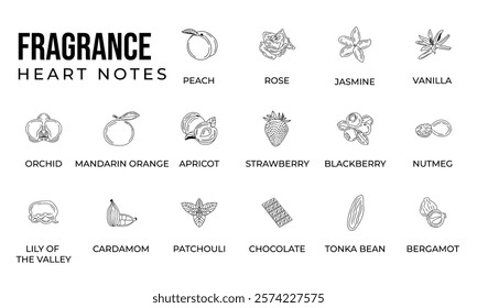 Vector set line icon aromatic notes perfume