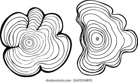 Vector set of line wood texture of wavy ring pattern from a slice of tree isolated on a white background.