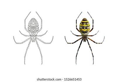 Vector set of linear and color spider illustrations in low poly style. Halloween symbol isolated on white background. Geometric polygonal spider.