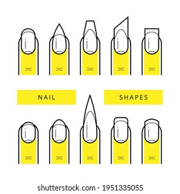 Vector Set of linear different Shapes of Nails. Nail shapes icons. Icons for the manicure master