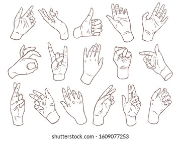 Vector set of linear female elegant hands. Women's arms collection for logos, emblems, labels template. Gestures and sign language. Hand drawn icons line art