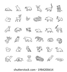 Vector. Set of linear vector forest and desert animals