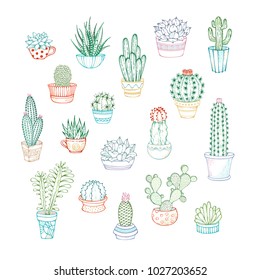 Vector set of linear icons of cacti and succulents. A variety of hand-drawn cacti with prickles, flowers and without. They are in flower pots or cups.