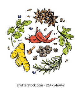 Vector set of linear illustrations with spices and herbs, basil, parsley, coriander, rosemary, cinnamon, chili, pepper, thyme, turmeric, black pepper, ginger, oregano, cumin, poppy, garlic, dill