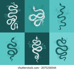 Vector set of linear mystical icons and symbols of snakes with plants. Interior posters in trendy abstract style, with magical and mystical snake illustration. Abstract backgrounds, banners, posters.